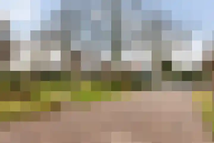 Oenenburgweg 134 Nunspeet thumbnail 4