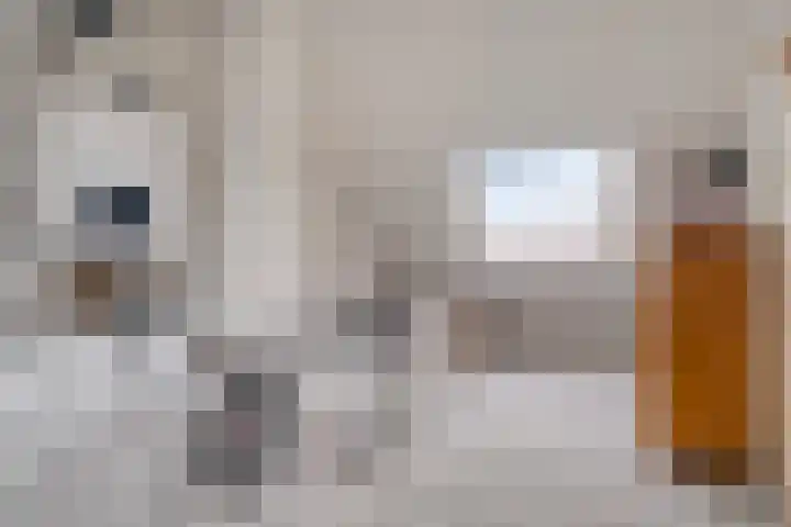 Oenenburgweg 200 Nunspeet thumbnail 35