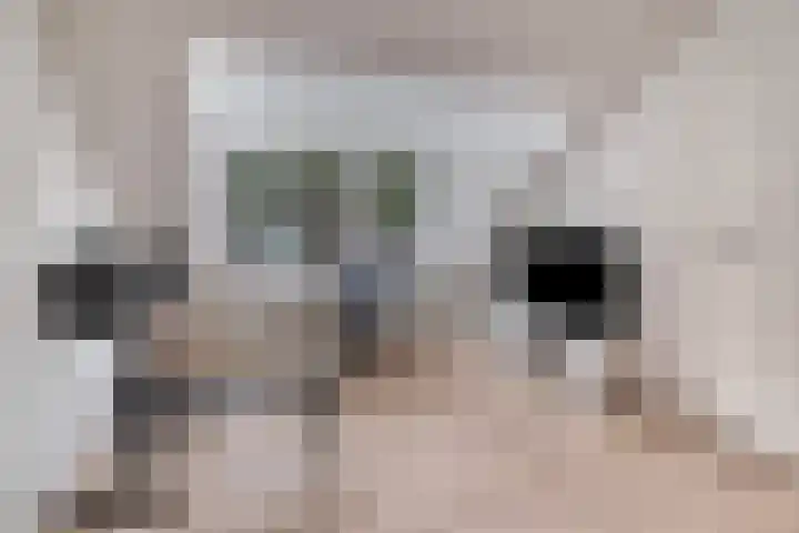 Oenenburgweg 200 Nunspeet thumbnail 36