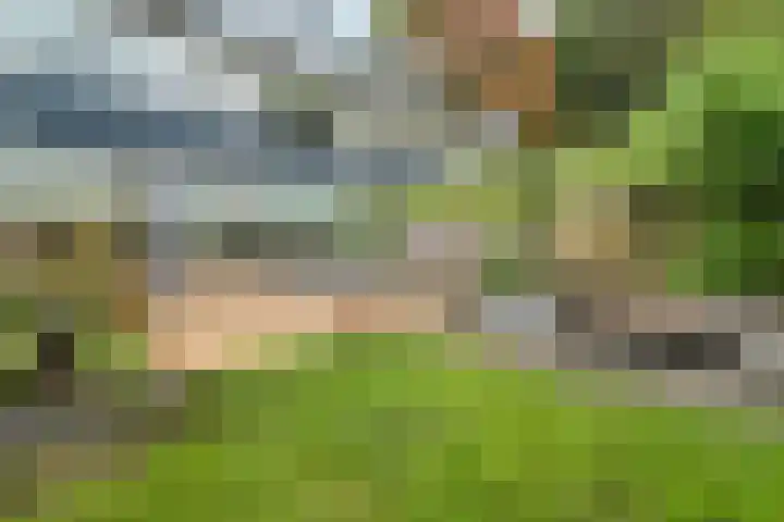 Oenenburgweg 200 Nunspeet thumbnail 39