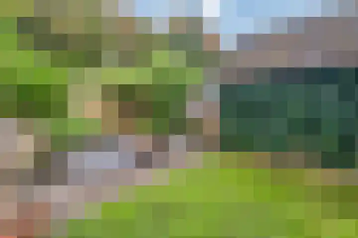 Oenenburgweg 200 Nunspeet thumbnail 42