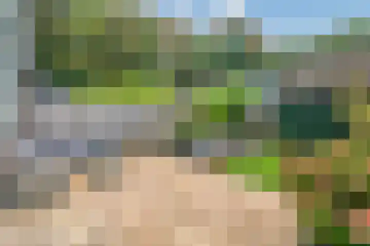 Oenenburgweg 200 Nunspeet thumbnail 43