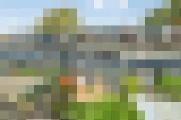 Oenenburgweg 200 Nunspeet thumbnail 45