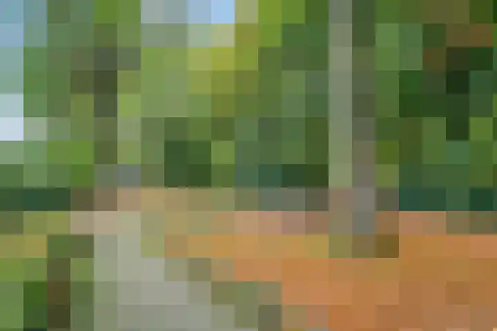 Oenenburgweg 200 Nunspeet thumbnail 47