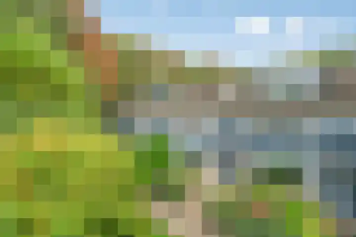 Oenenburgweg 200 Nunspeet thumbnail 5
