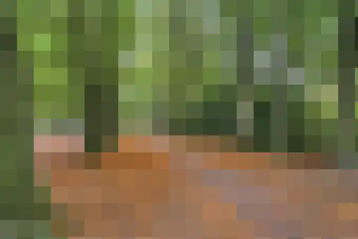 Oenenburgweg 200 Nunspeet thumbnail 50