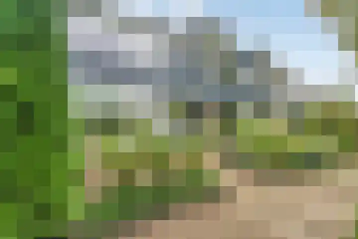 Oenenburgweg 200 Nunspeet thumbnail 7