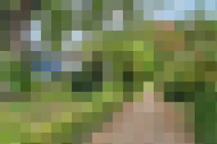 Oenenburgweg 200 Nunspeet thumbnail 9
