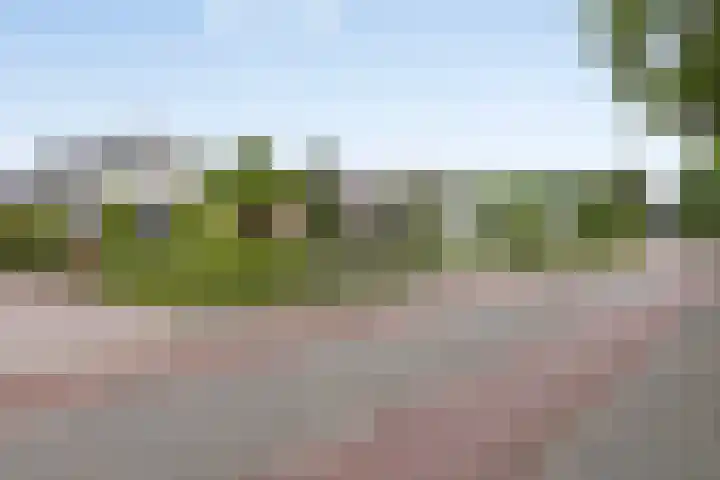 Oenenburgweg 91 Nunspeet thumbnail 5