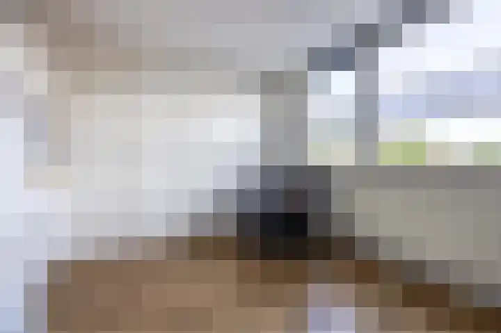 Oenerdijk 52 Rotterdam thumbnail 22