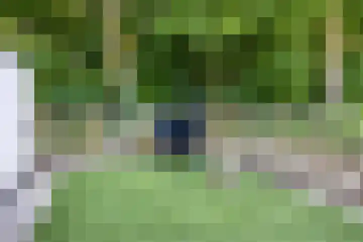Oenerdijk 52 Rotterdam thumbnail 33