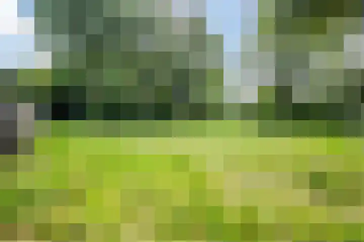 Oenerdijk 52 Rotterdam thumbnail 38