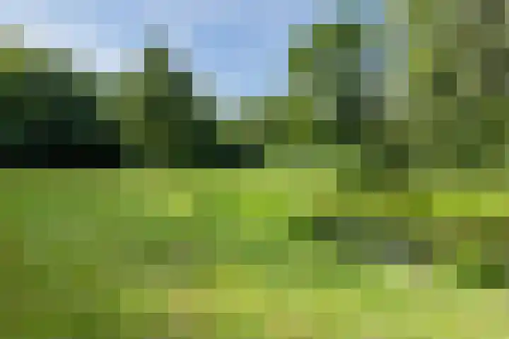 Oenerdijk 52 Rotterdam thumbnail 41