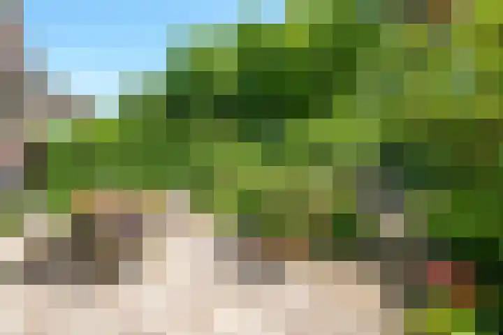 Oenerdijk 70 Rotterdam thumbnail 36