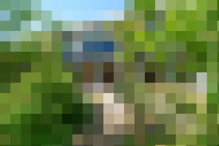 Oenerdijk 70 Rotterdam thumbnail 37
