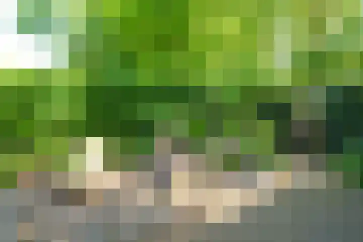Oenerdijk 70 Rotterdam thumbnail 42