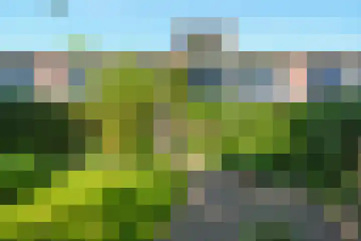 Oenerdijk 70 Rotterdam thumbnail 43