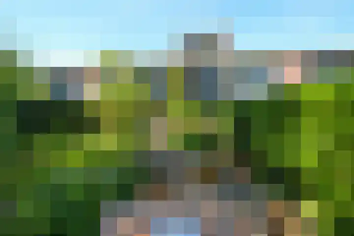 Oenerdijk 70 Rotterdam thumbnail 44