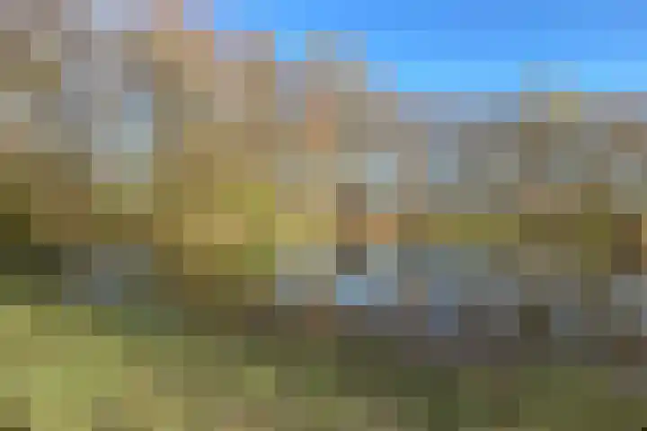 Oenerdijk 70 Rotterdam thumbnail 48