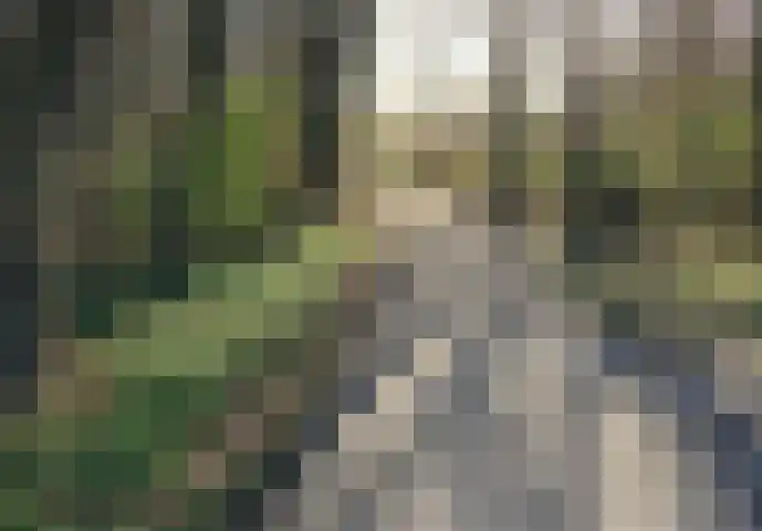 Oenerdijk 70 Rotterdam thumbnail 49