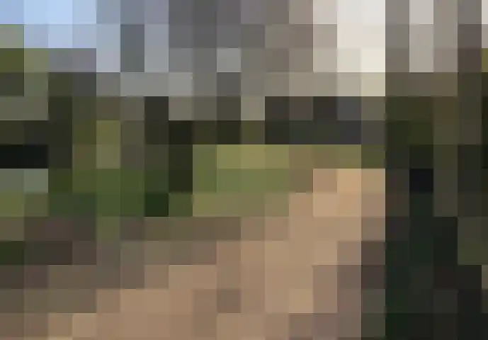 Oenerdijk 70 Rotterdam thumbnail 51