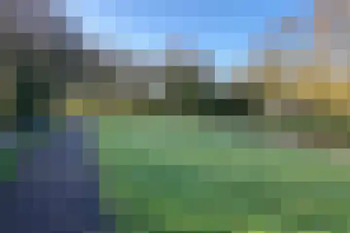Oenerdijk 70 Rotterdam thumbnail 52