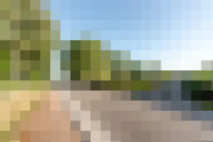 Oenerweg 1 a Heerde thumbnail 10