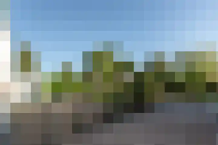 Oenerweg 1 a Heerde thumbnail 13
