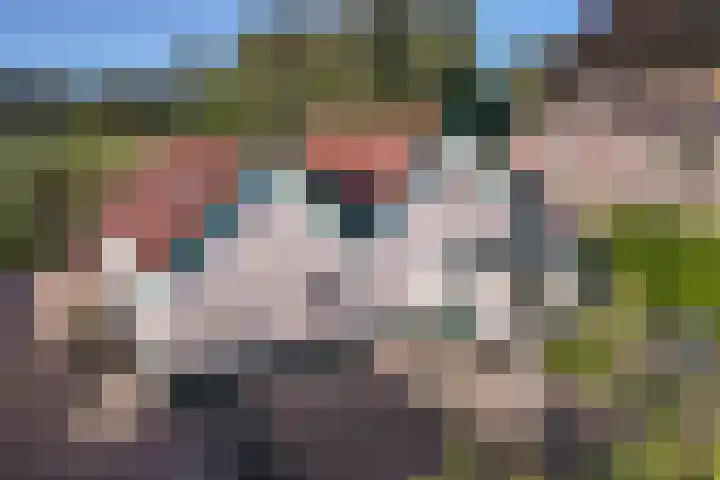 Oenerweg 1 a Heerde thumbnail 17
