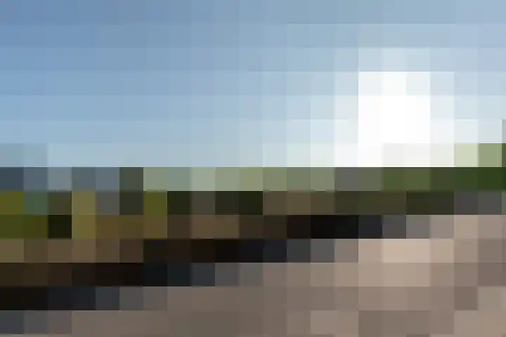 Oenerweg 1 a Heerde thumbnail 9
