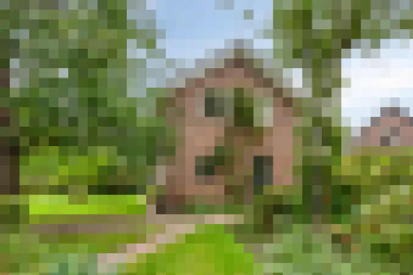 Oenerweg 19 Heerde