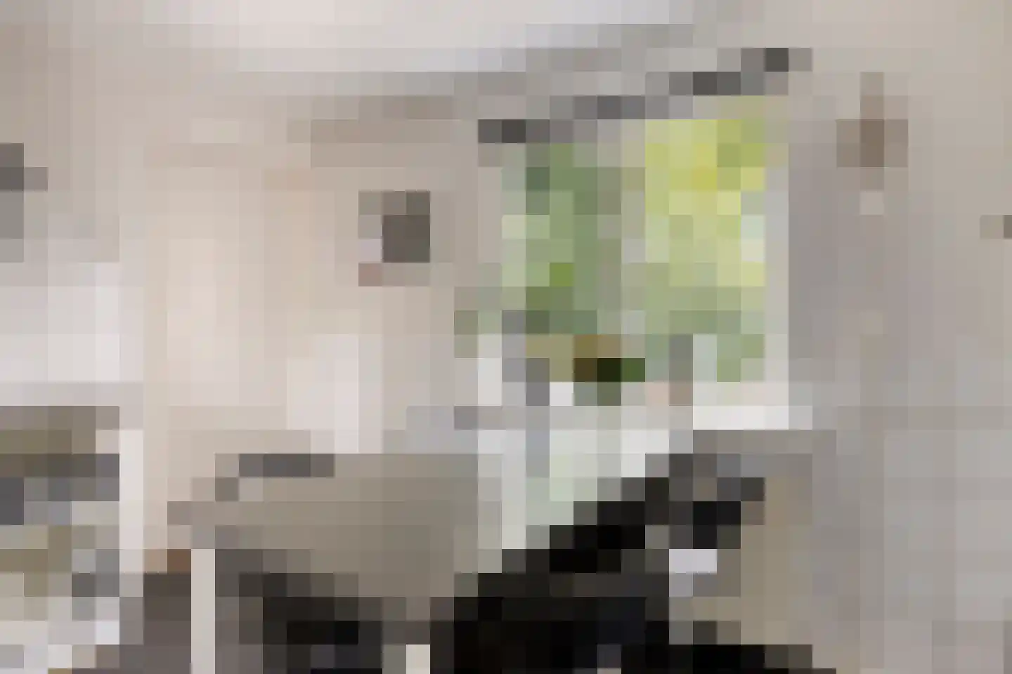Oenerweg 19 Heerde thumbnail 13