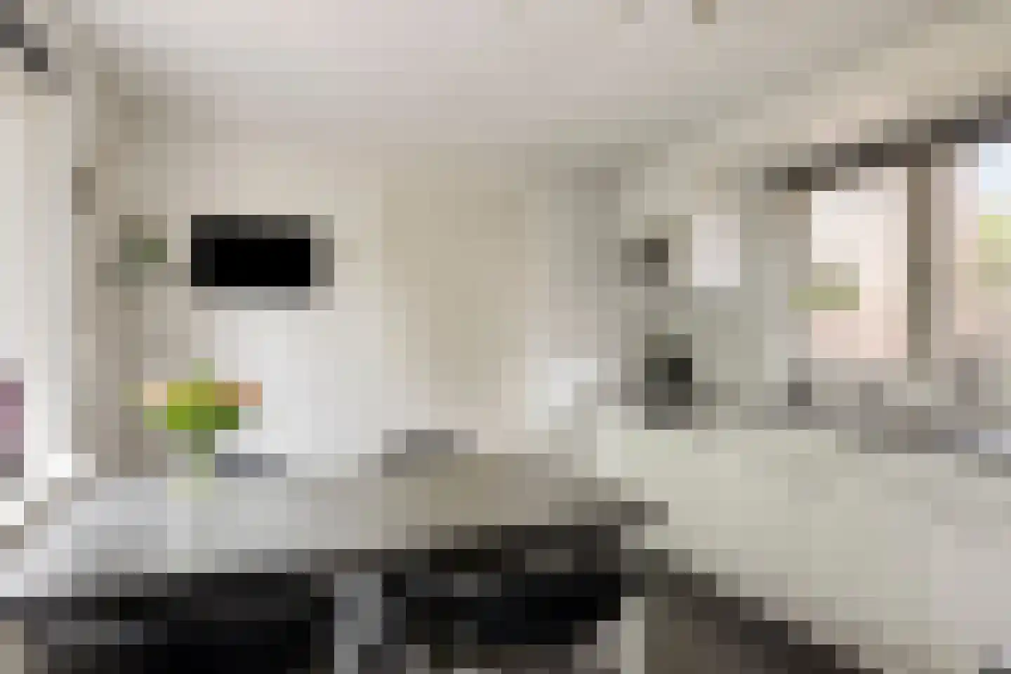 Oenerweg 19 Heerde thumbnail 15