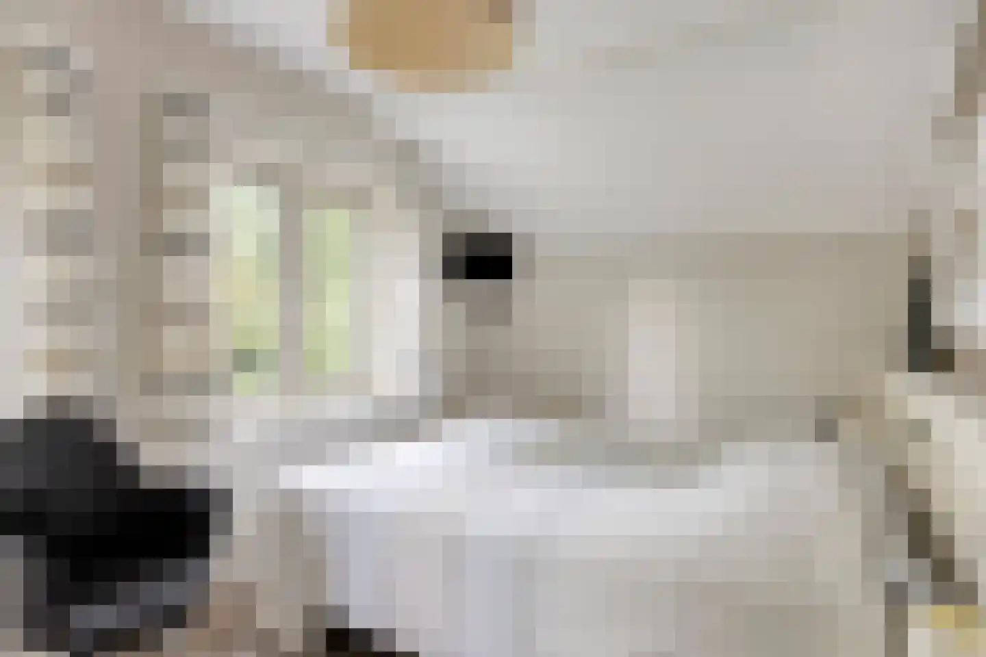 Oenerweg 19 Heerde thumbnail 22