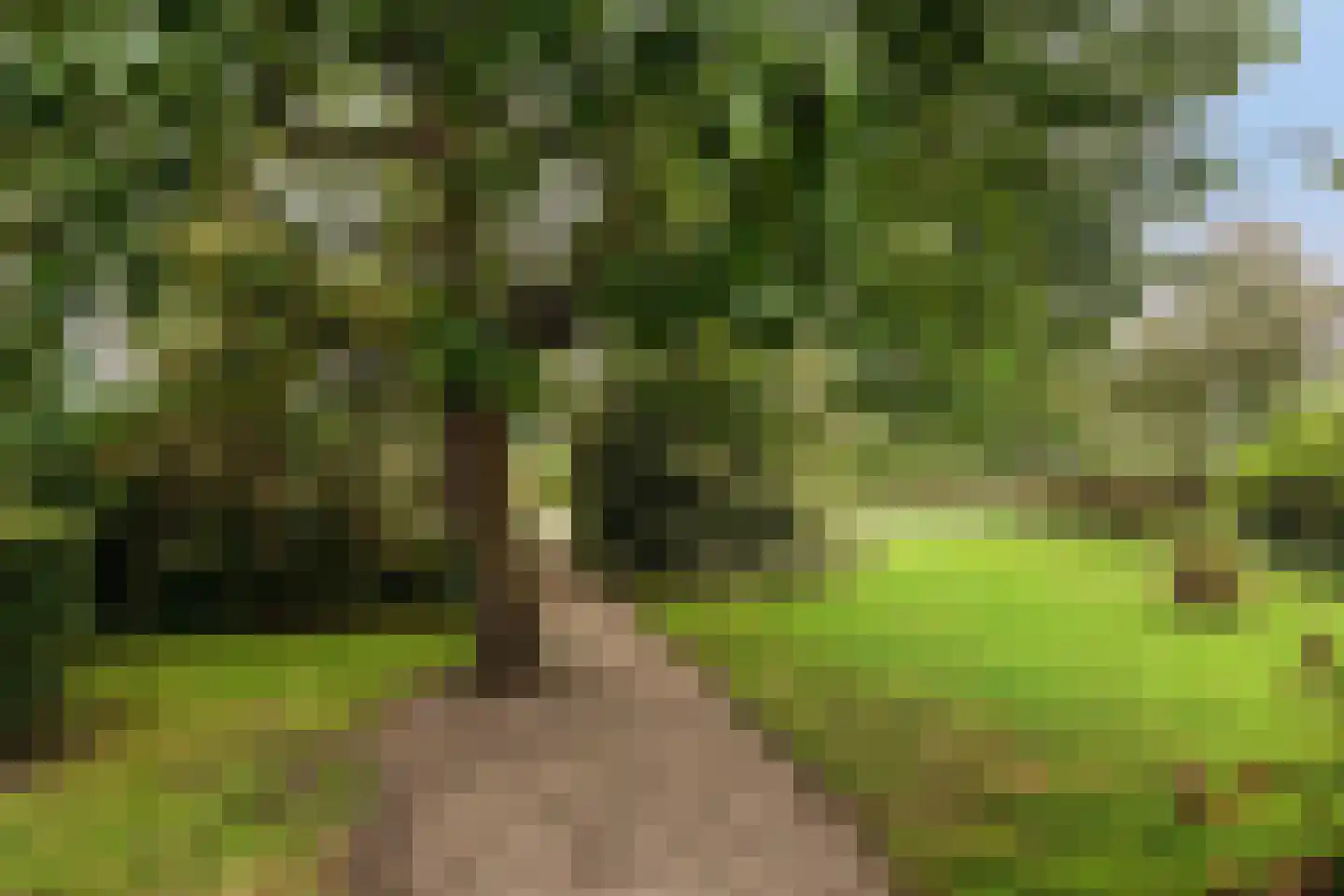 Oenerweg 19 Heerde thumbnail 27