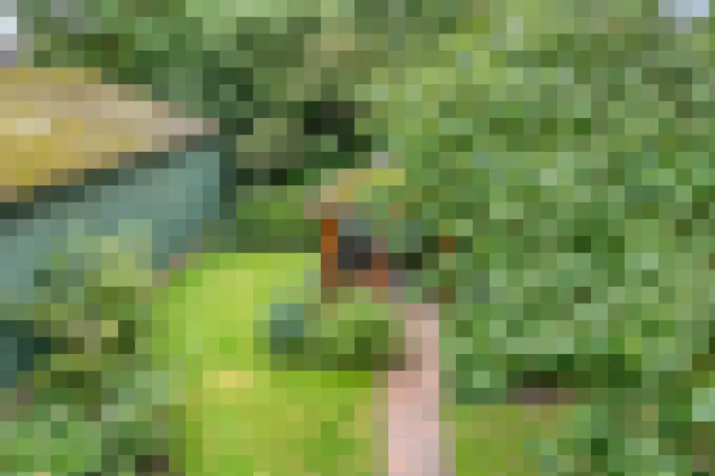 Oenerweg 19 Heerde thumbnail 28