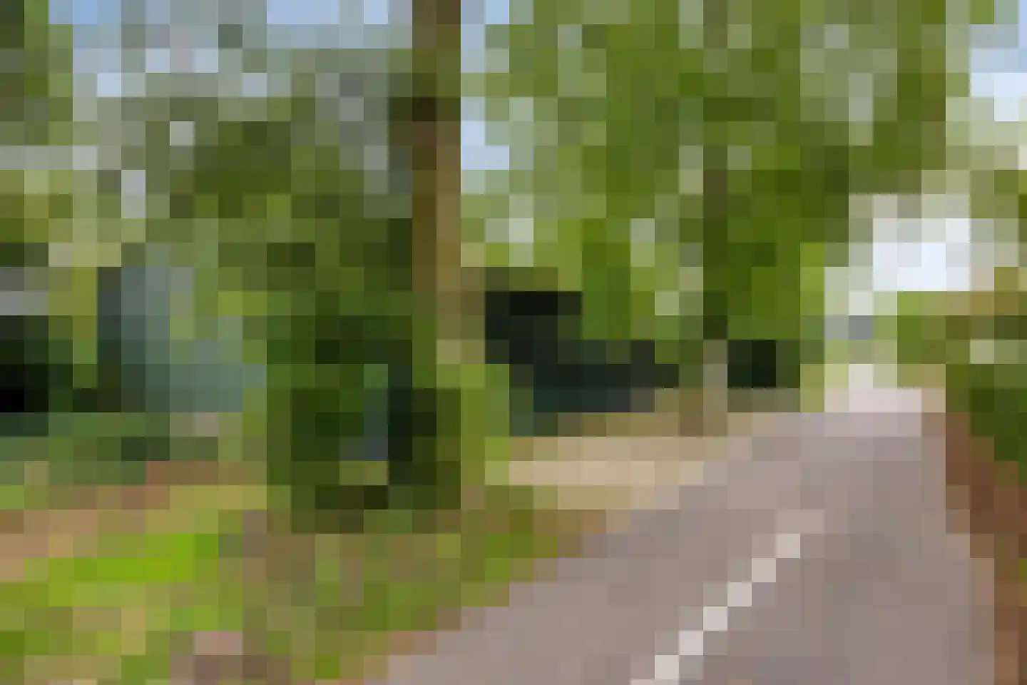 Oenerweg 19 Heerde thumbnail 29