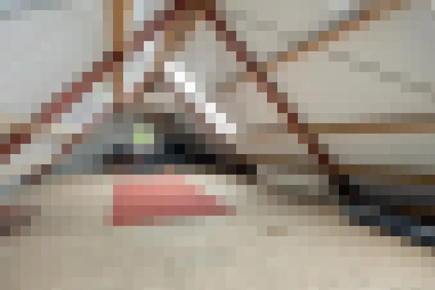 Oenerweg 19 Heerde thumbnail 39