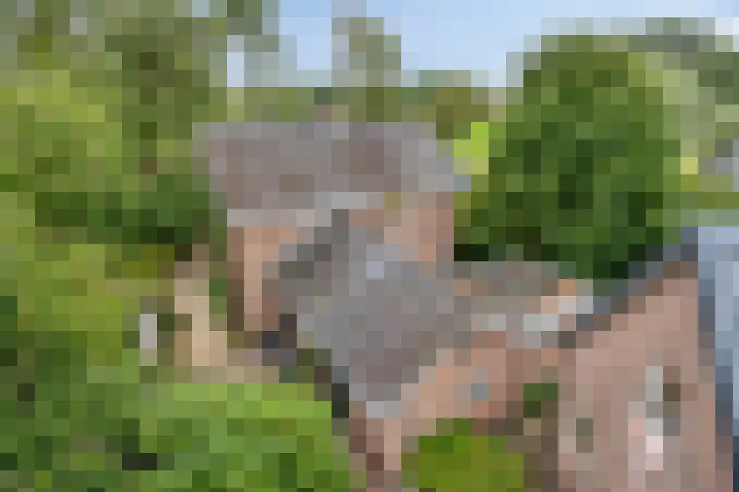 Oenerweg 19 Heerde thumbnail 43