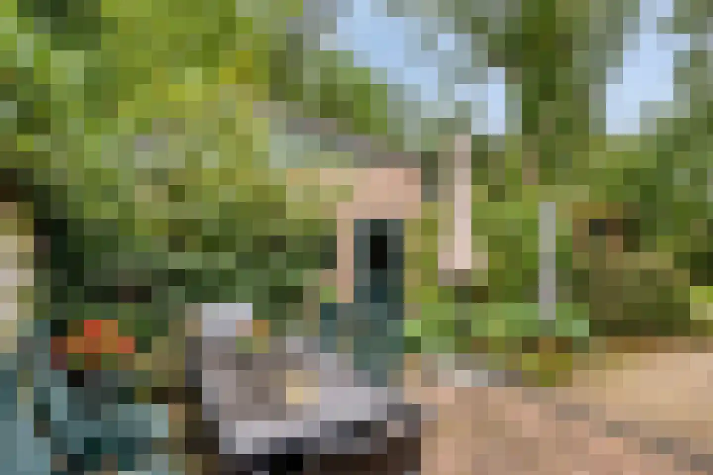 Oenerweg 19 Heerde thumbnail 45