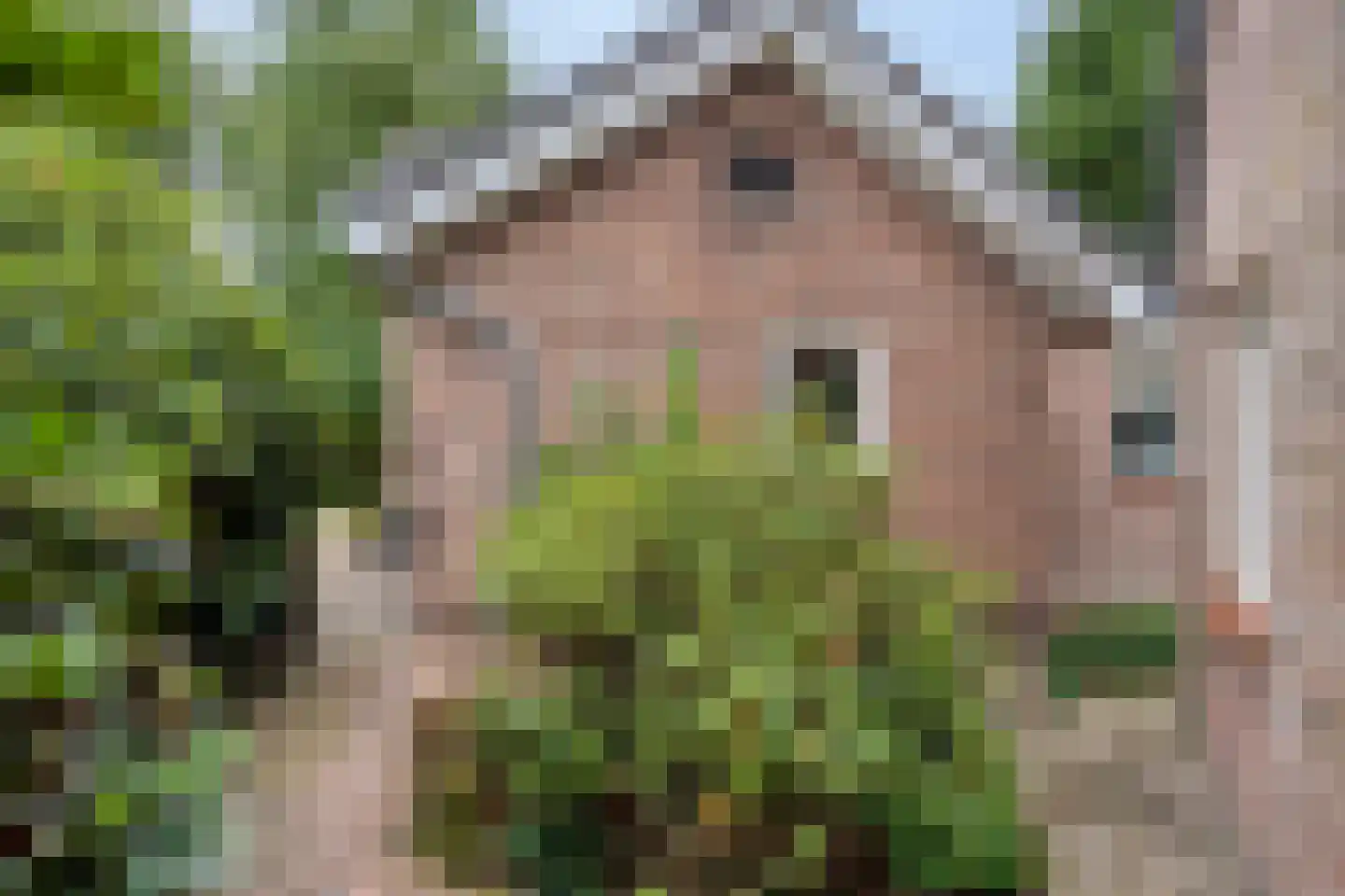 Oenerweg 19 Heerde thumbnail 46