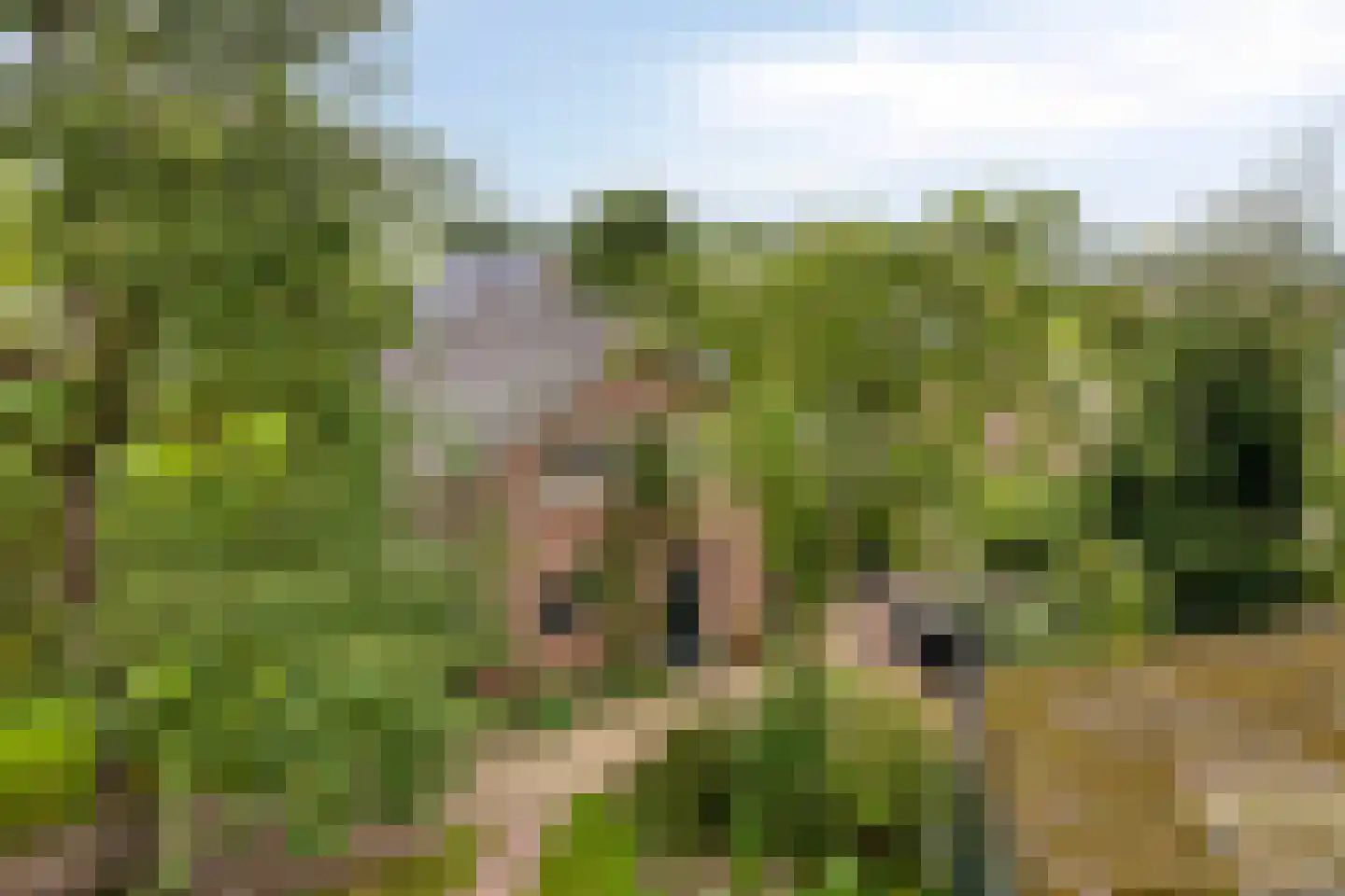 Oenerweg 19 Heerde thumbnail 47