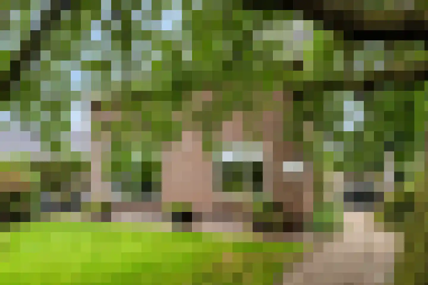 Oenerweg 19 Heerde thumbnail 50