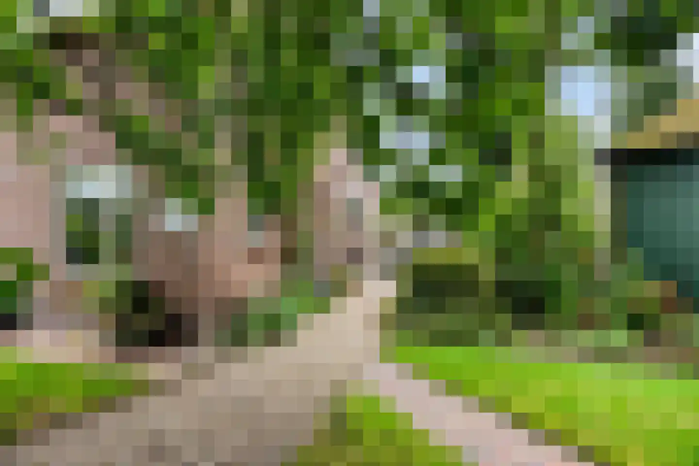 Oenerweg 19 Heerde thumbnail 7