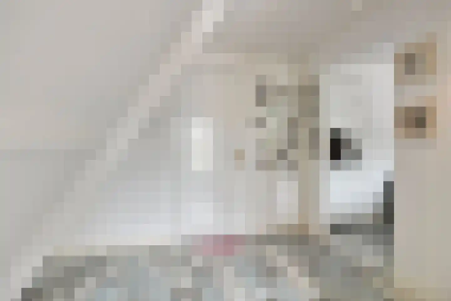 Oenerweg 23 Epe thumbnail 26