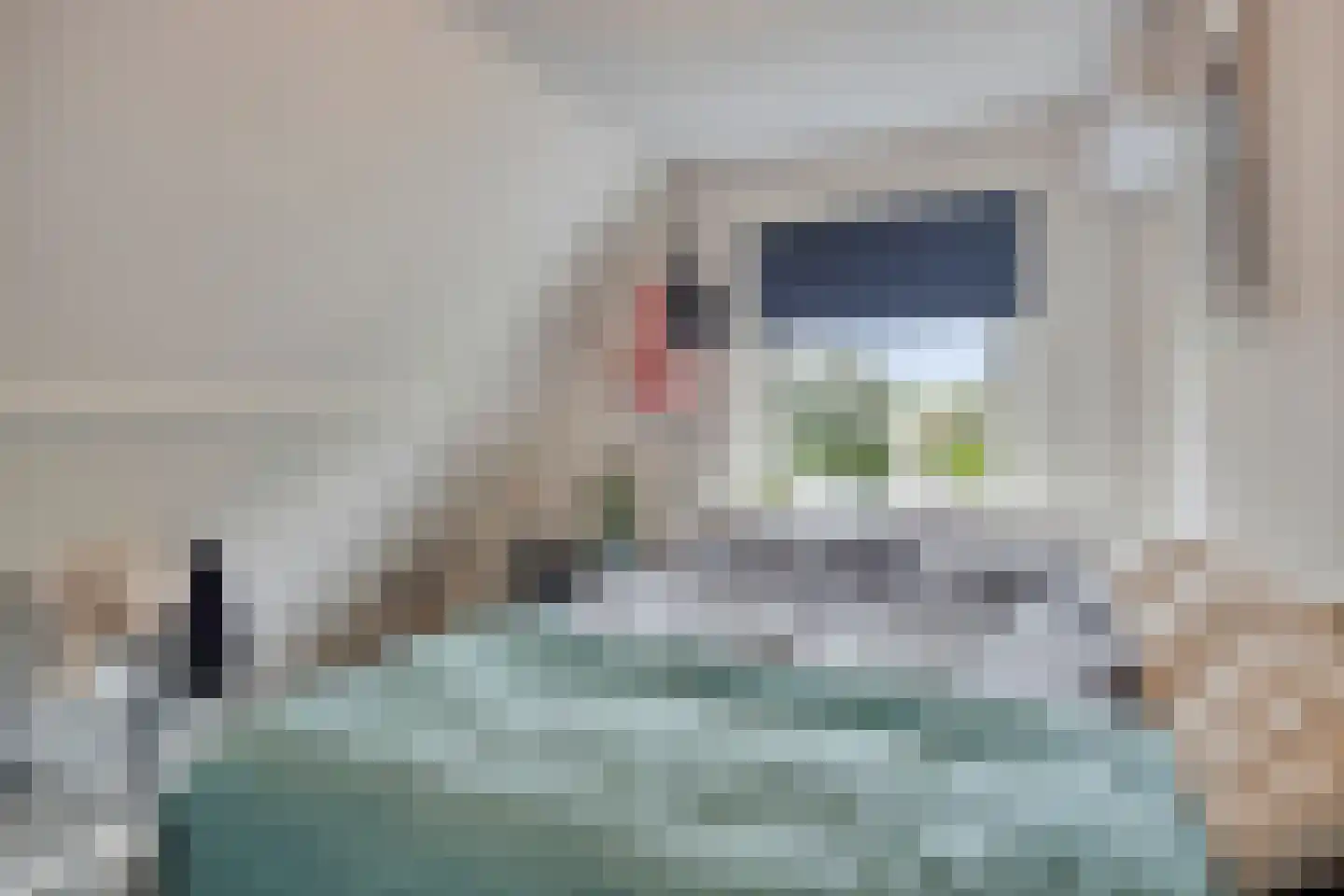 Oenerweg 23 Epe thumbnail 28