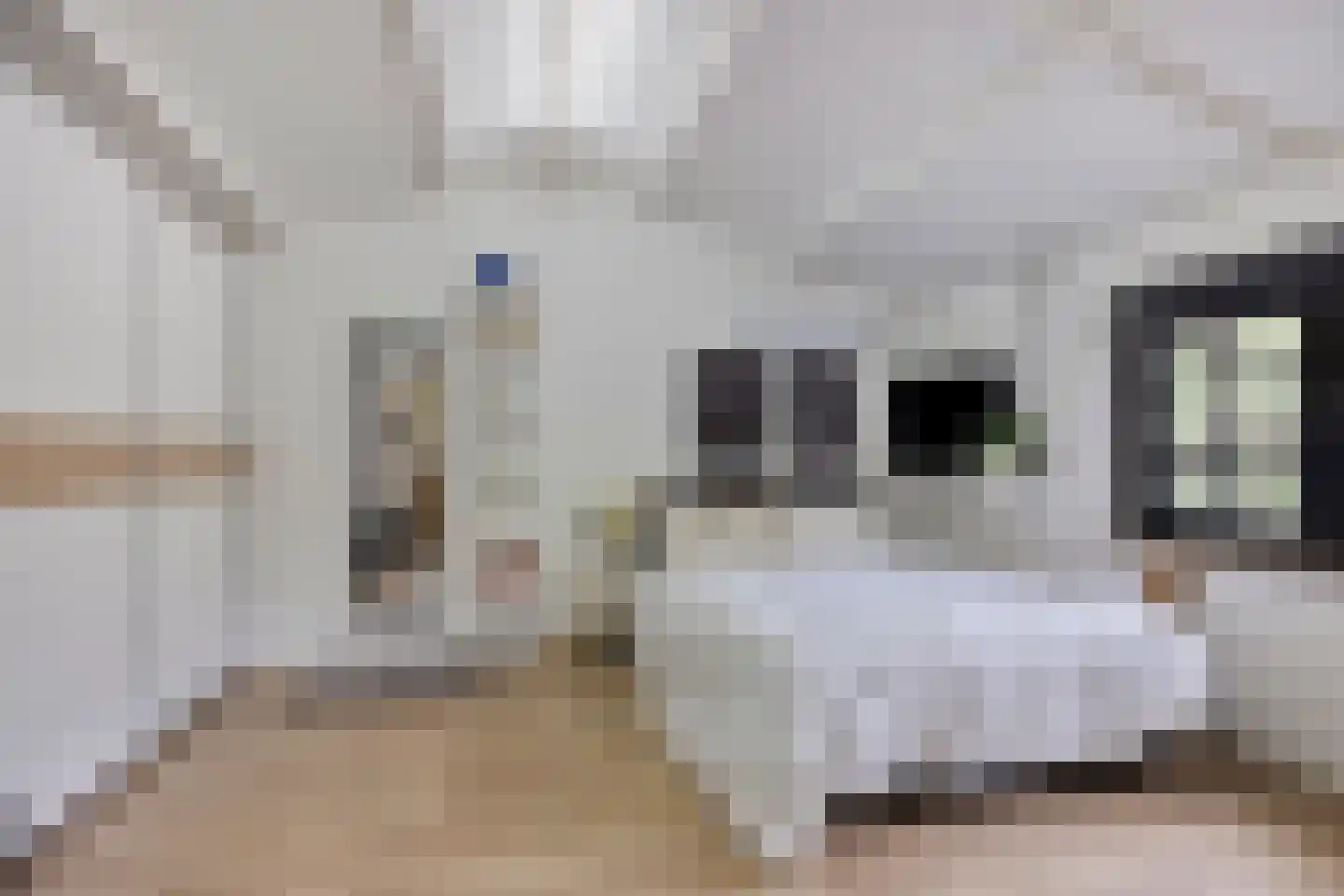 Oenerweg 23 Epe thumbnail 32
