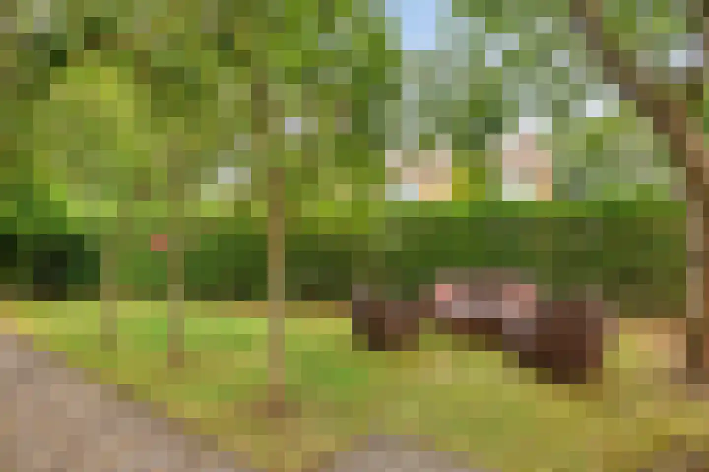 Oenerweg 23 Epe thumbnail 37