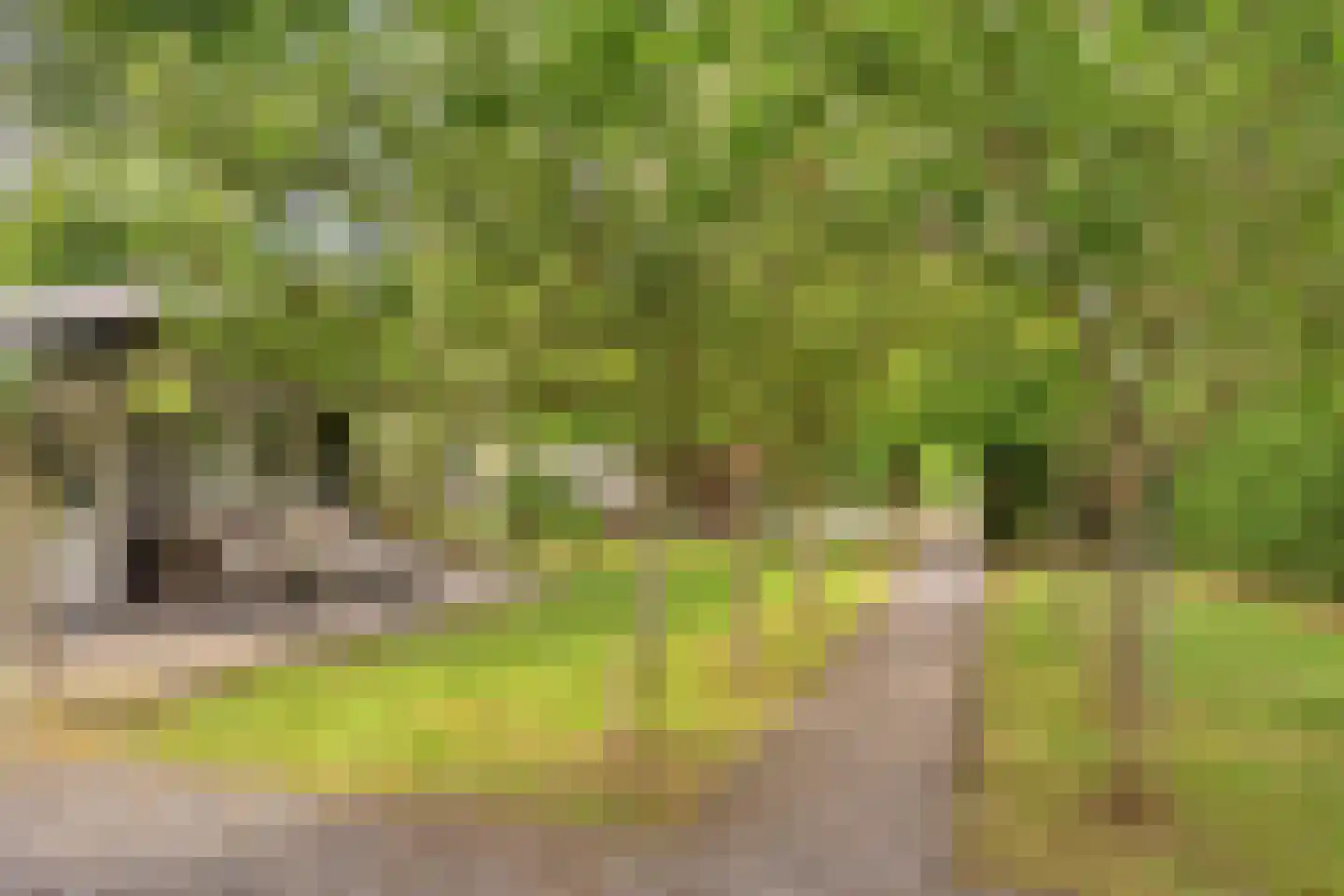 Oenerweg 23 Epe thumbnail 39