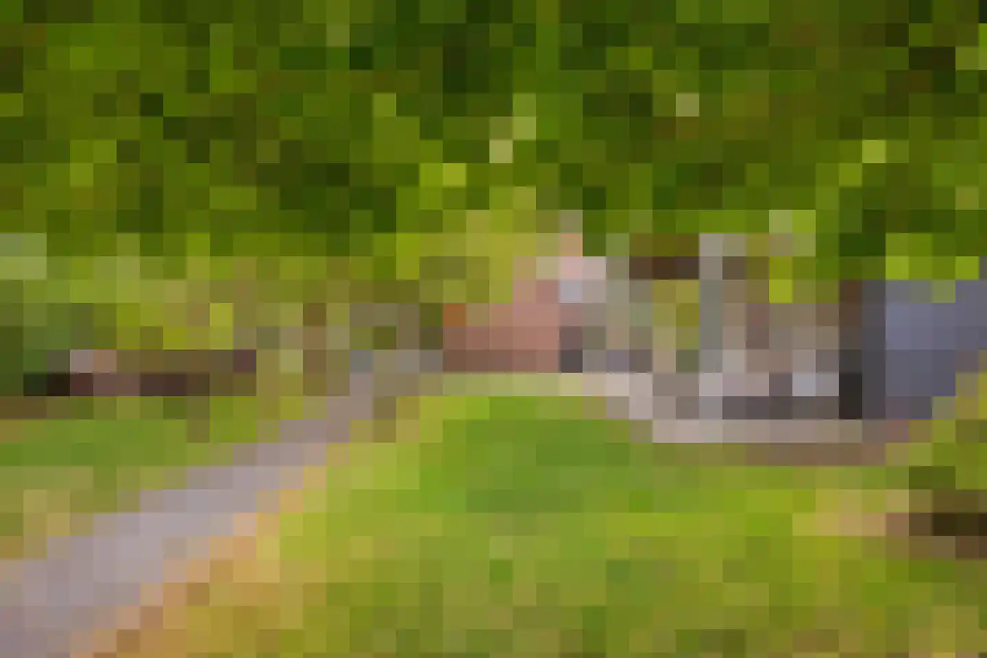 Oenerweg 23 Epe thumbnail 4